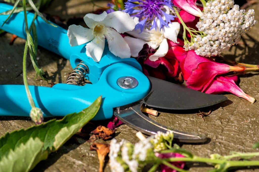 pruning shears, cut, sharp