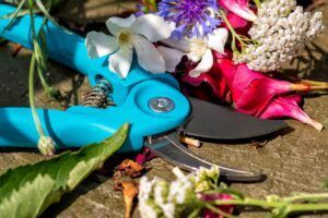pruning shears, cut, sharp